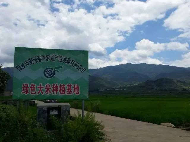 吉内得富硒大米5(大米吉富硒得内含量多少)-硒宝网