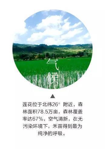 吉内得富硒大米5(大米吉富硒得内含量多少)-硒宝网