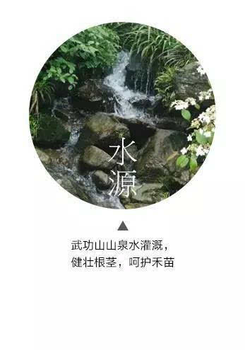 吉内得富硒大米5(大米吉富硒得内含量多少)-硒宝网