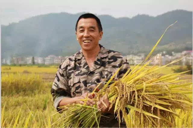 吉内得富硒大米5(大米吉富硒得内含量多少)-硒宝网