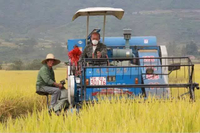 吉内得富硒大米5(大米吉富硒得内含量多少)-硒宝网