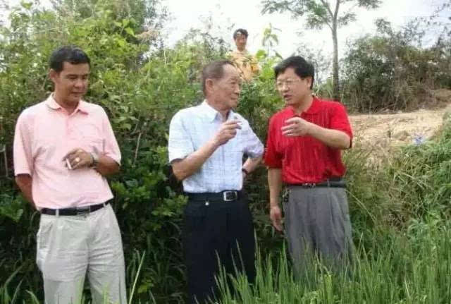 吉内得富硒大米5(大米吉富硒得内含量多少)-硒宝网