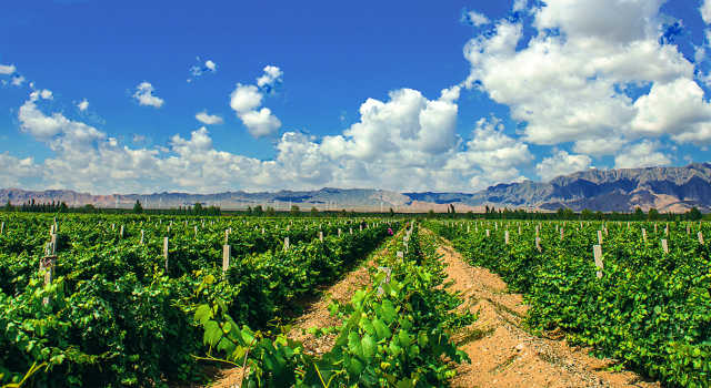 汝湖富硒大米价格（富硒大米2.5公斤价格）-硒宝网