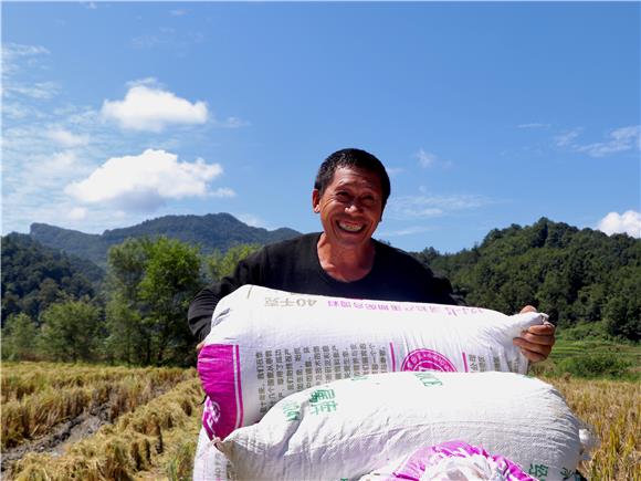 星火大米富硒黑米(富硒黑米和普通黑米营养对比表)-硒宝网