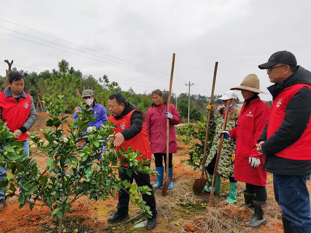 万安富硒大米直播(万安县富硒米业公司)-硒宝网