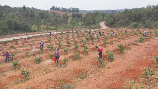 万安富硒大米直播(万安县富硒米业公司)-硒宝网