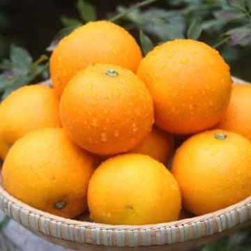 俄罗斯人富硒大米(俄罗斯大米贵吗)-硒宝网