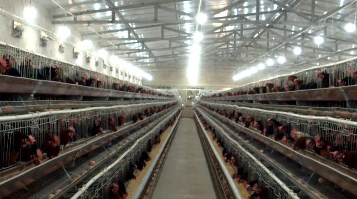 万安富硒大米直播（江西万安富硒大米）-硒宝网