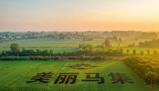 味稻东林富硒大米(稻老大富硒大米)-硒宝网