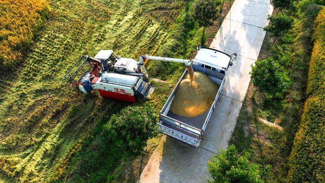 味稻东林富硒大米(稻老大富硒大米)-硒宝网