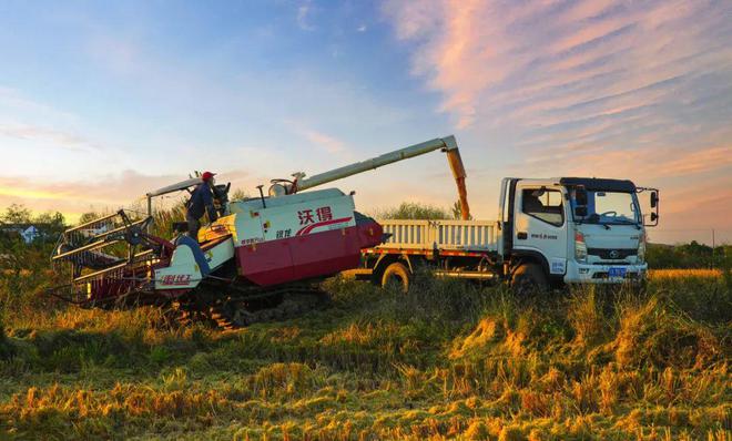 味稻东林富硒大米(稻老大富硒大米)-硒宝网