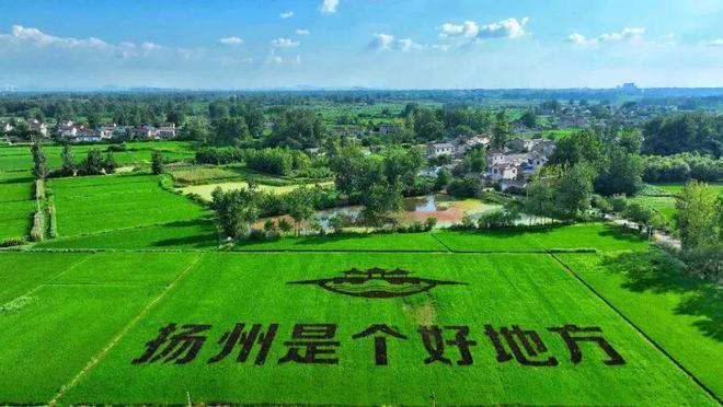 味稻东林富硒大米(稻老大富硒大米)-硒宝网