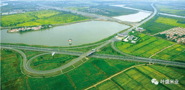 留庄富硒大米价格(富硒大米多少钱一公斤)-硒宝网