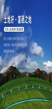 留庄富硒大米价格(富硒大米多少钱一公斤)-硒宝网