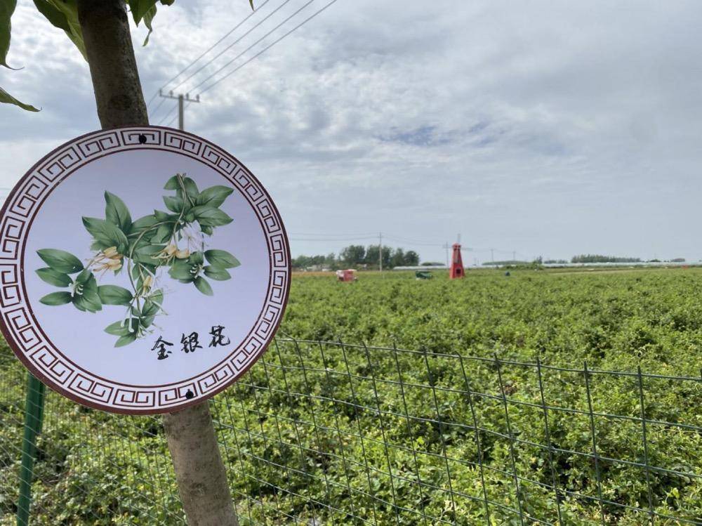 富硒留庄大米多钱(富硒大米多少钱一公斤)-硒宝网