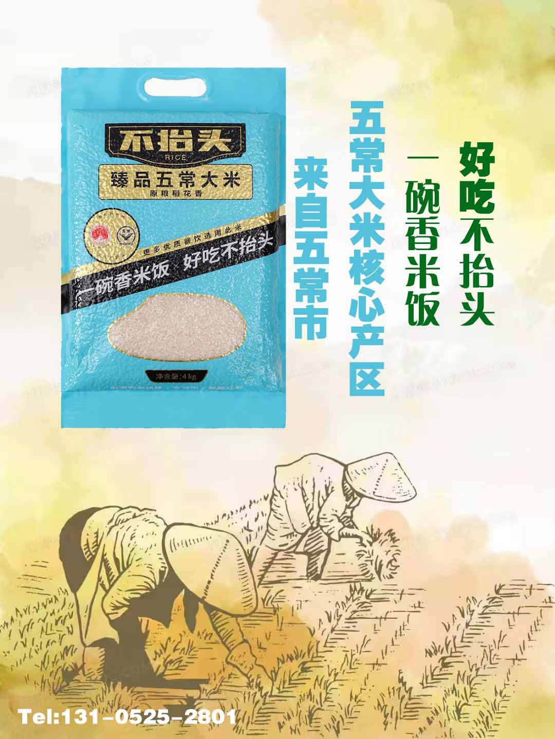 景阳富硒大米知乎(景阳富硒米百度百科)-硒宝网