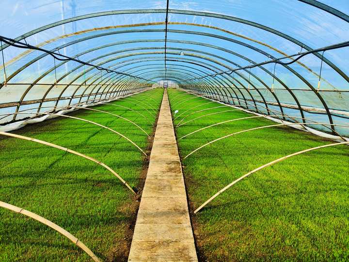 宏乐留庄富硒大米(弘本富硒大米)-硒宝网