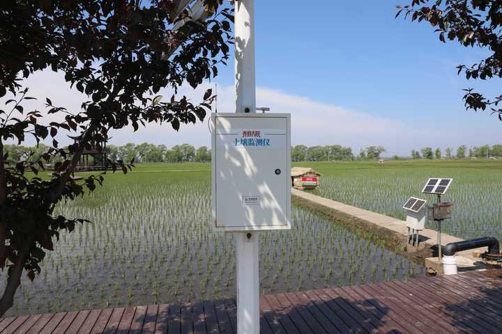 宏乐留庄富硒大米(弘本富硒大米)-硒宝网