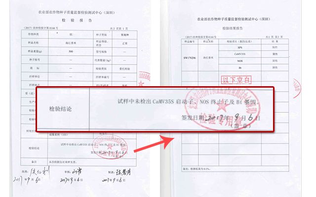 富硒大米多少钱升（富硒大米危害）-硒宝网