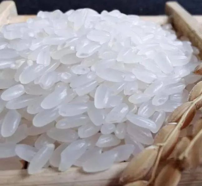 三亚有机富硒大米(富硒大米好还是有机大米好)-硒宝网