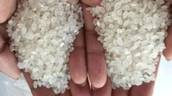 三亚有机富硒大米(富硒大米好还是有机大米好)-硒宝网