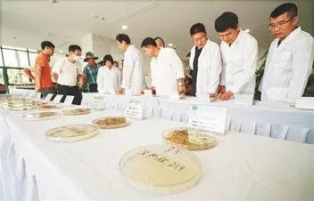 三亚有机富硒大米(富硒大米好还是有机大米好)-硒宝网