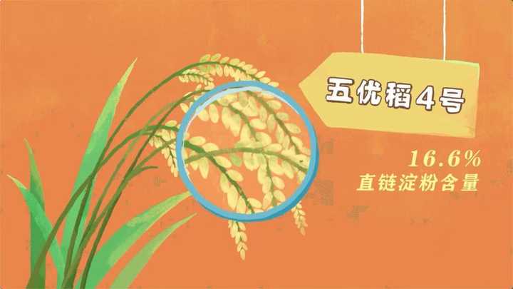富硒大米如何做的(富硒大米怎样食用)-硒宝网