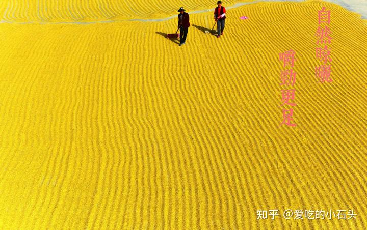 富硒大米的创始人（富硒大米的由来）-硒宝网