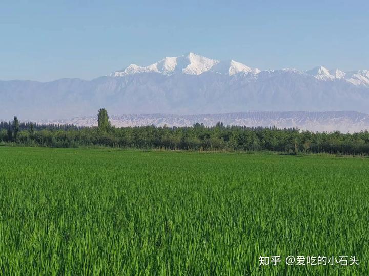 富硒大米的创始人（富硒大米的由来）-硒宝网