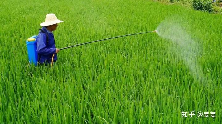 富硒大米包装袋子（富硒大米包装简介）-硒宝网