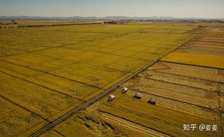 富硒大米包装袋子（富硒大米包装简介）-硒宝网