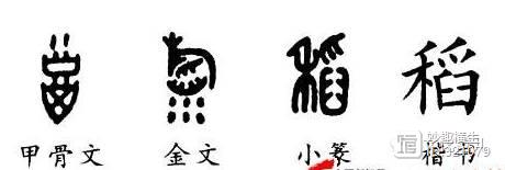 升润富硒东北大米（东北富硒大米的营养价值和功效）-硒宝网