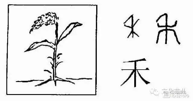 升润富硒东北大米（东北富硒大米的营养价值和功效）-硒宝网