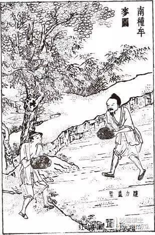 升润富硒东北大米（东北富硒大米的营养价值和功效）-硒宝网