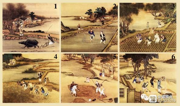 升润富硒东北大米（东北富硒大米的营养价值和功效）-硒宝网