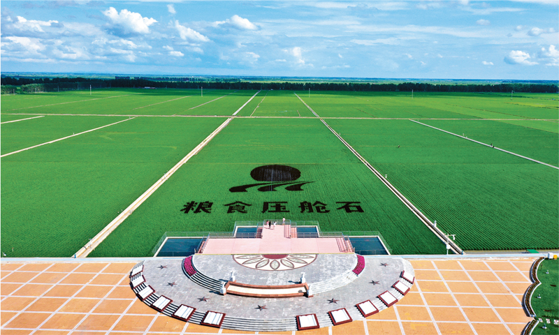 三江平原富硒大米（三江平原稻米优良的原因）-硒宝网