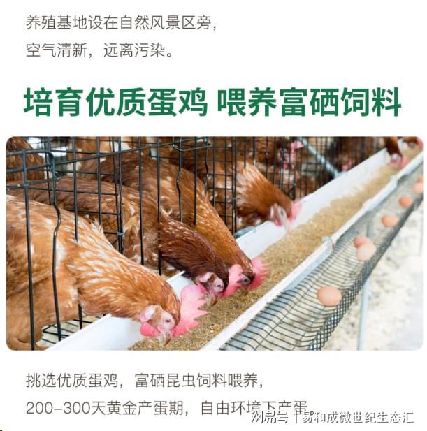 富硒大米抗氧化性(大米氧化抗性富硒含量)-硒宝网