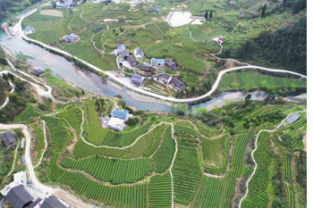 一乡一品富硒大米（富硒优质大米）-硒宝网