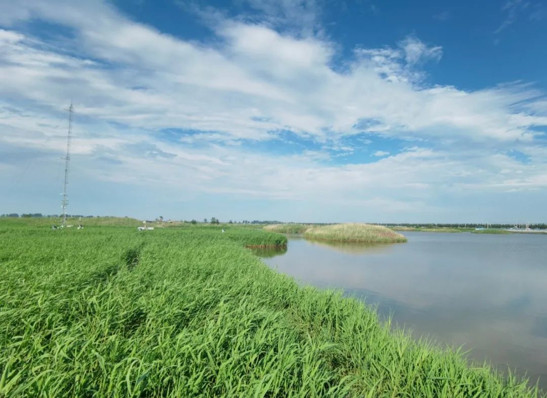 富硒大米1厘米长（富硒大米中含有的主要营养素是）-硒宝网