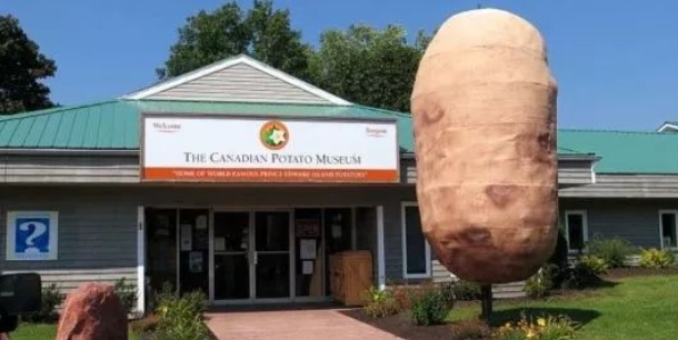 富硒大米饭怎么做(米饭富硒做大米怎么做)-硒宝网