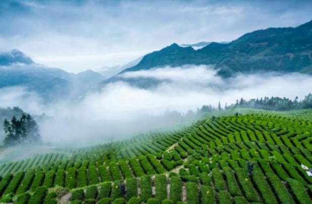 富硒大米饭怎么做(米饭富硒做大米怎么做)-硒宝网