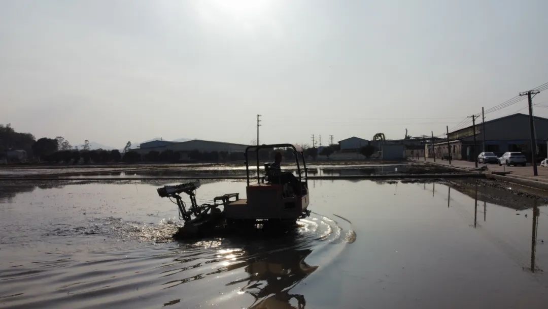 富硒大米1厘米长（富硒的大米）-硒宝网