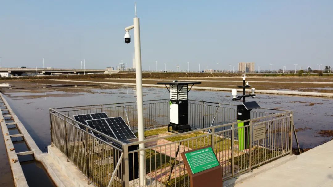 富硒大米1厘米长（富硒的大米）-硒宝网