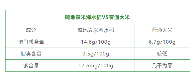 富硒大米哪一种好(大米种富硒好吃吗)-硒宝网