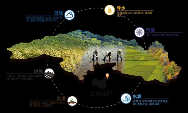 五常富硒大米龙缘（富硒大米和五常大米的区别）-硒宝网