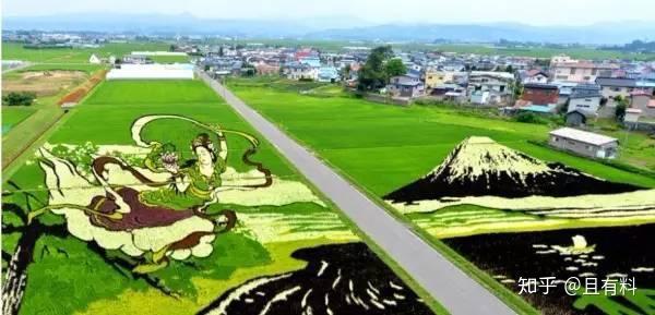 一生有李富硒大米（富硒大米含多少硒）-硒宝网