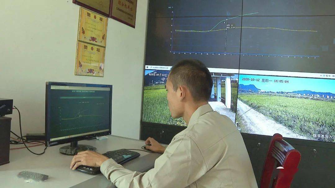 富硒大米哪一种好(富硒大米种植技术)-硒宝网