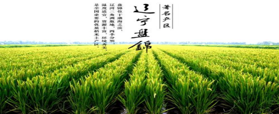 富硒大米第一品牌(大米富硒品牌有哪些)-硒宝网