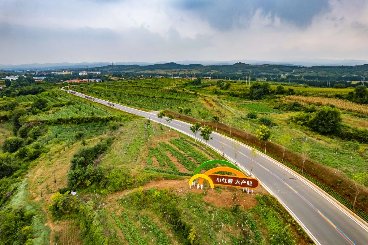 菏泽富硒地瓜粉丝(富硒地瓜多少钱一斤)-硒宝网