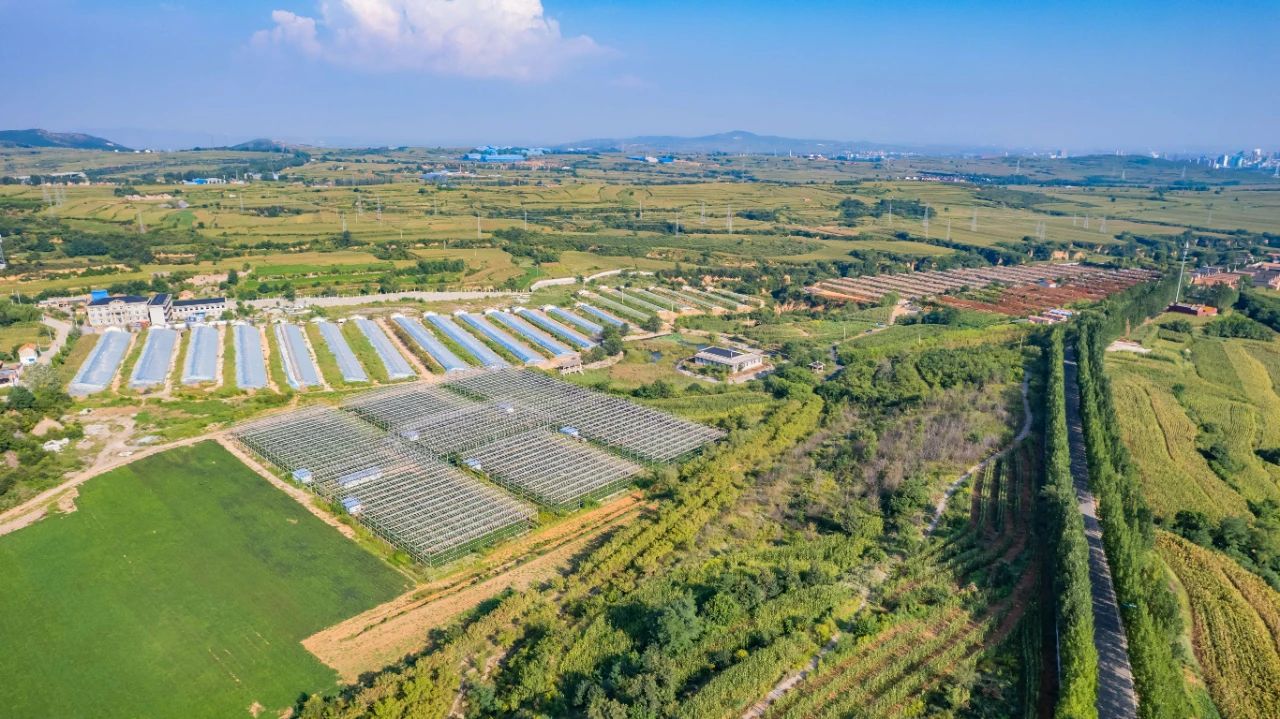 菏泽富硒地瓜粉丝(富硒地瓜多少钱一斤)-硒宝网